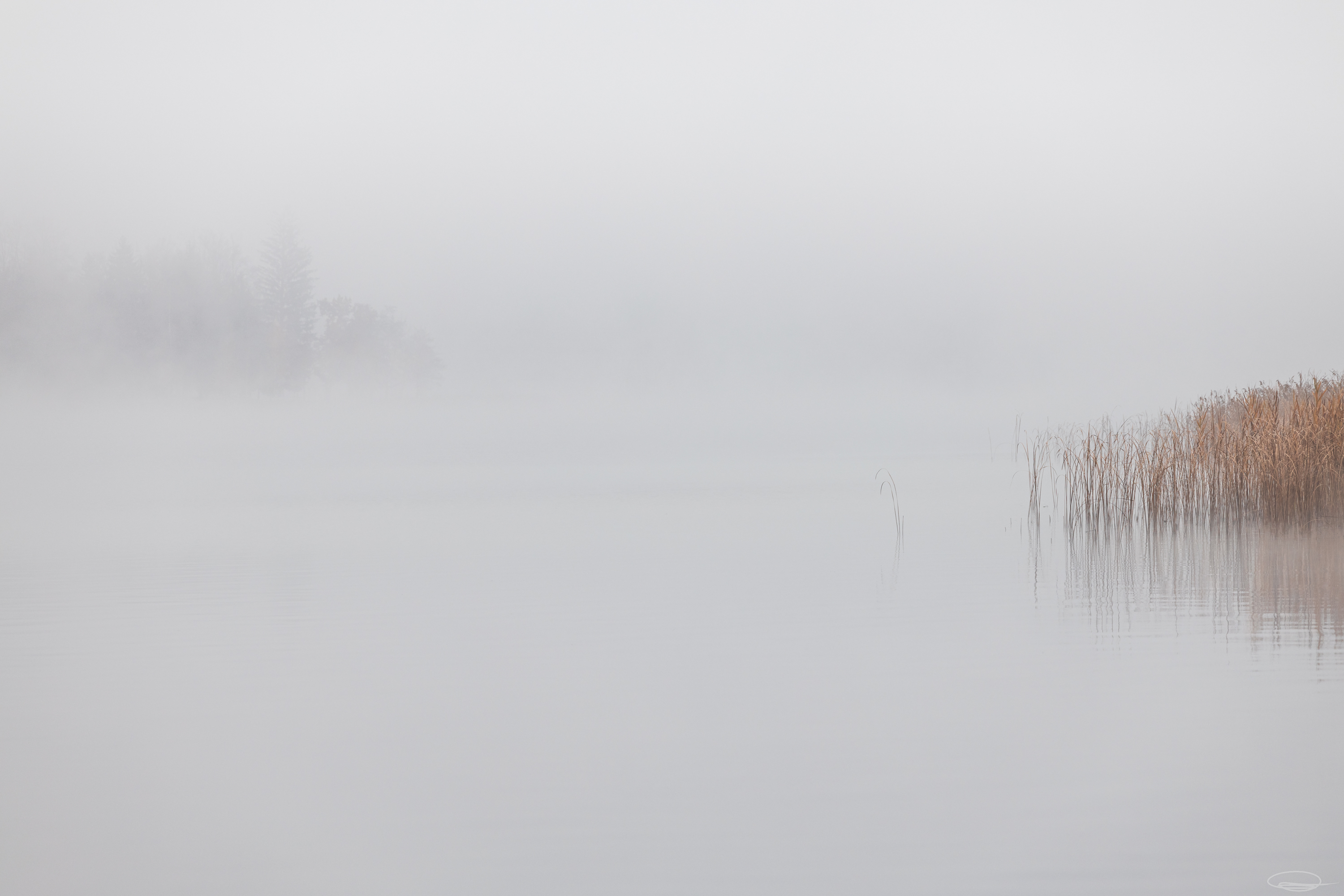 Foggy Lake Wörthersee