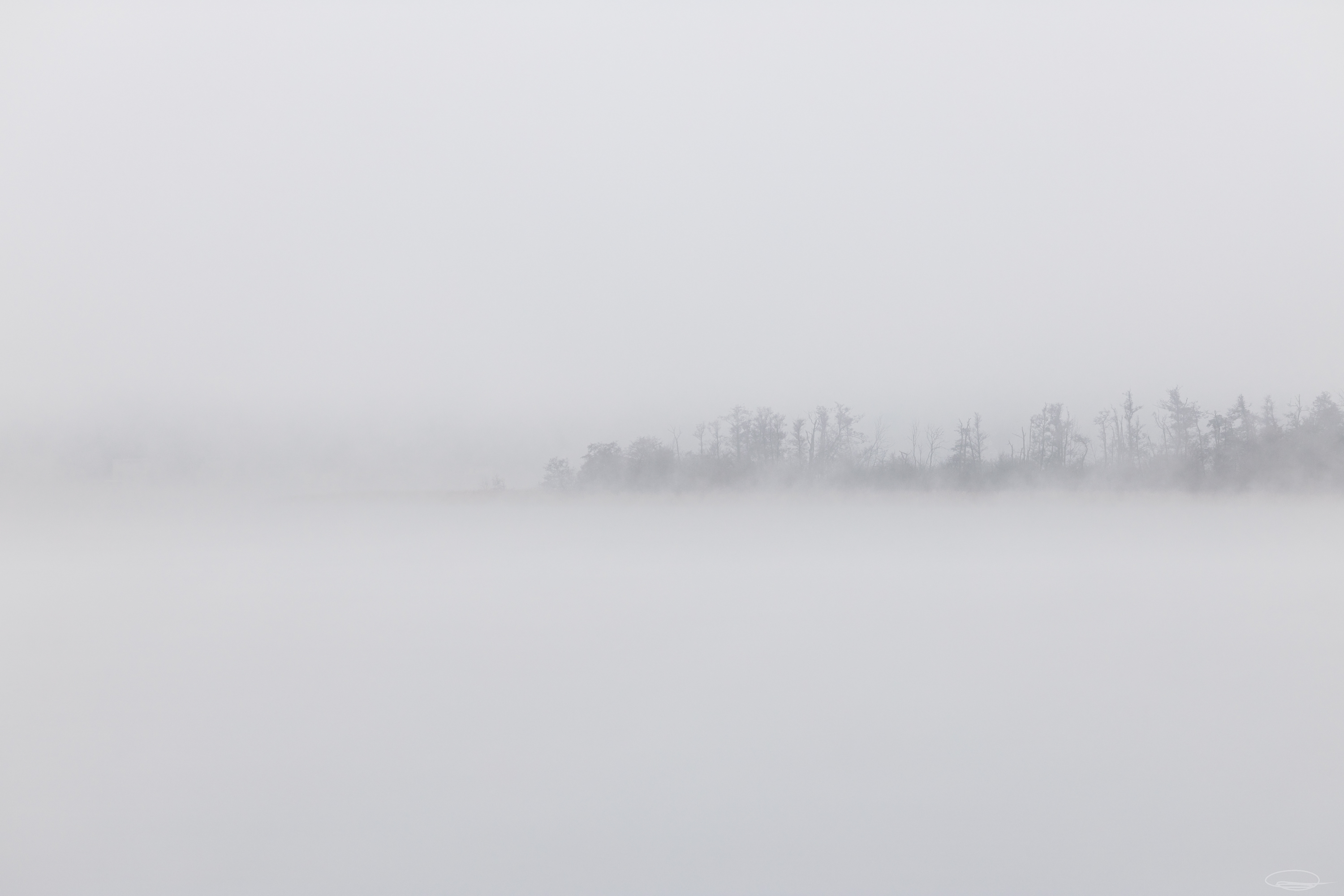 Foggy morning at the Lake