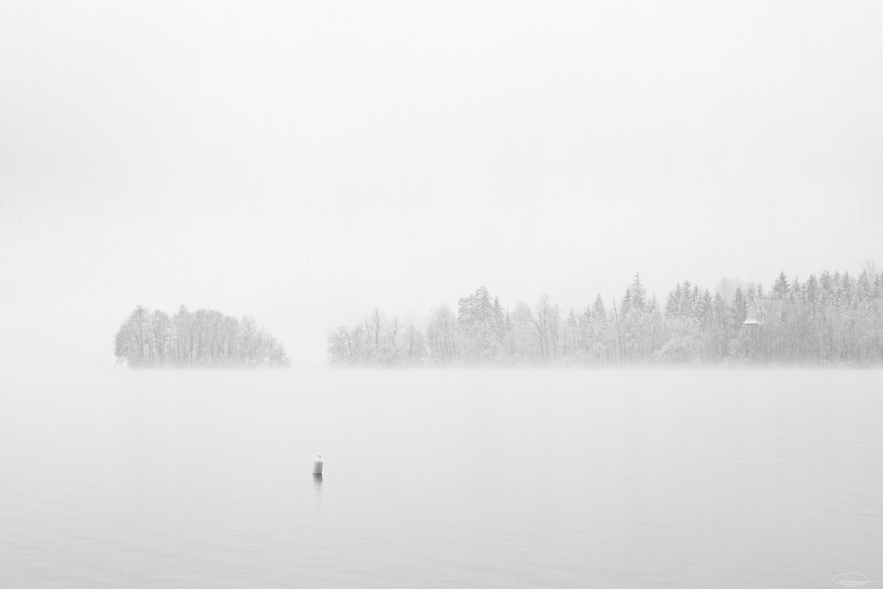 Foggy Winter morning at the Lake