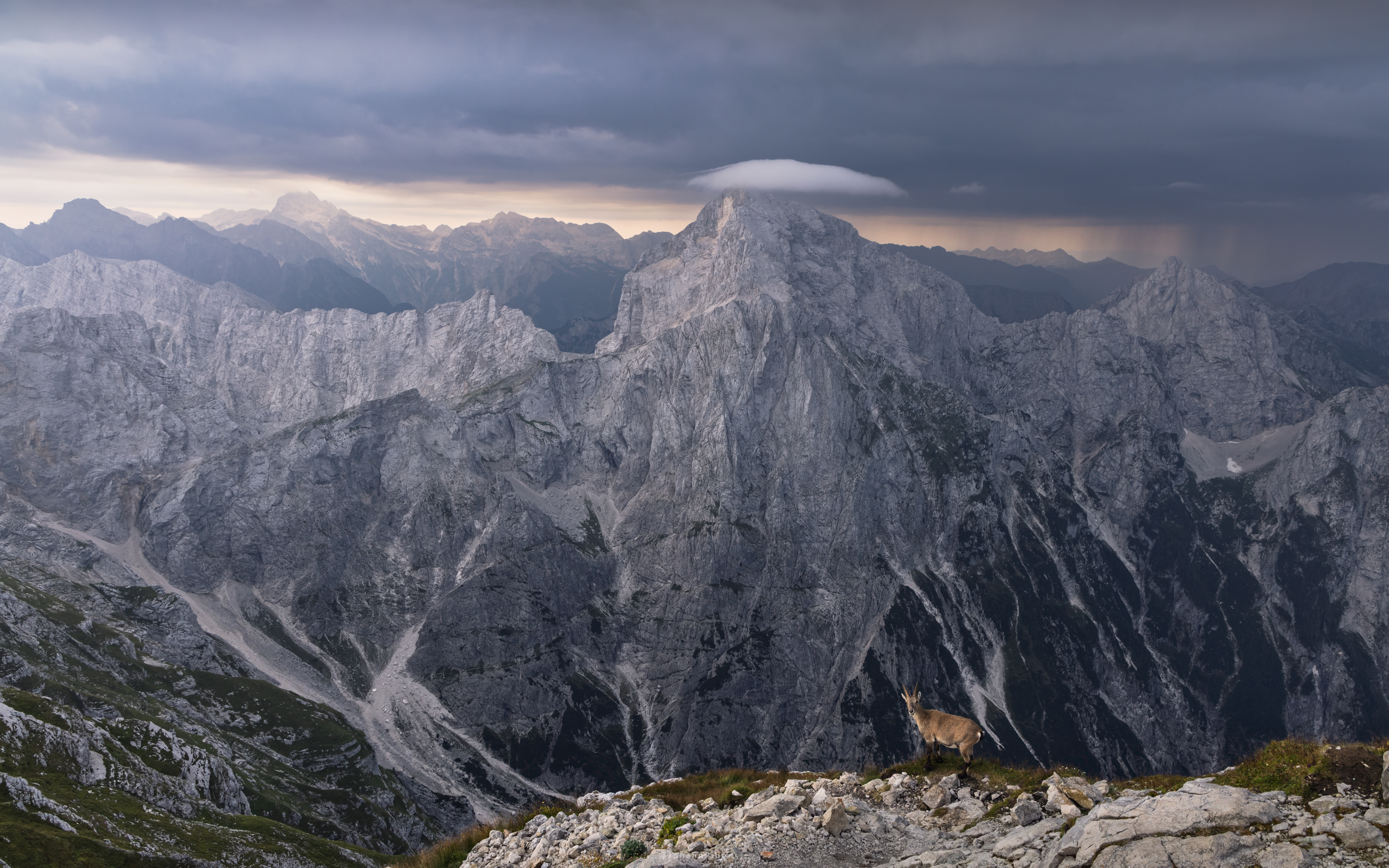 Ibex on Mangart mountain (2,677m) in Slovenia - Julian Alps with Jalovec and Triglav in the background. -- Johann Piber Ibex on Mangart mountain (2,677m) in Slovenia - Julian Alps with Jalovec and Triglav in the background. -- Johann Piber