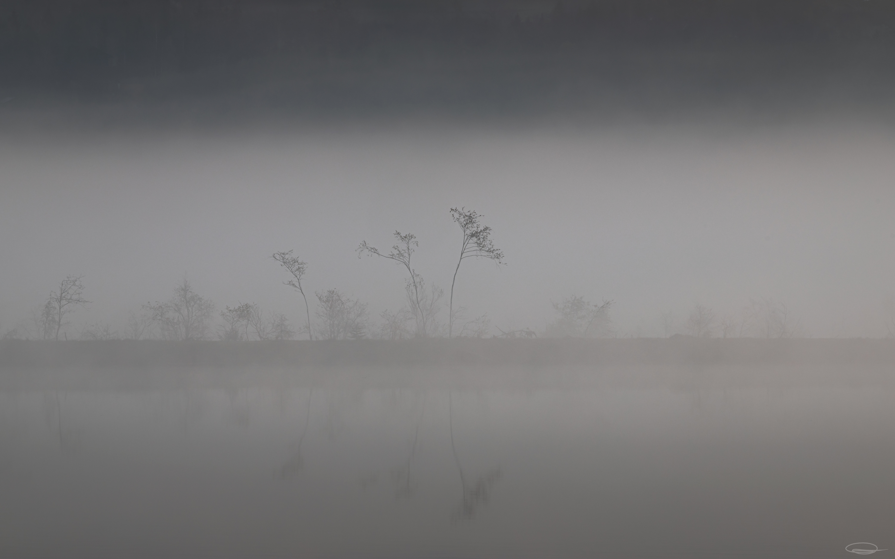 Misty Sunrise at the Reservoir - Johann Piber
